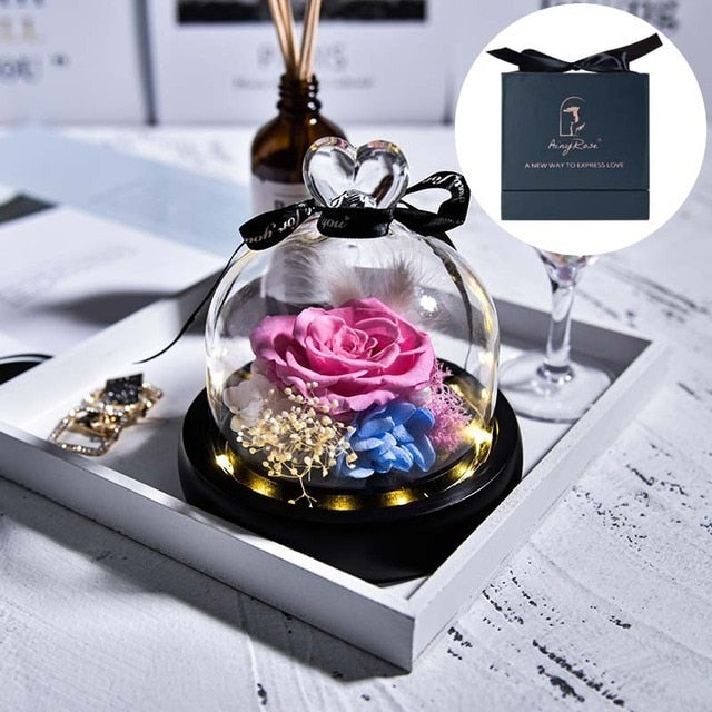 Beauty and The Beast Preserved Roses in Glass Forever Eternal Rose With LED