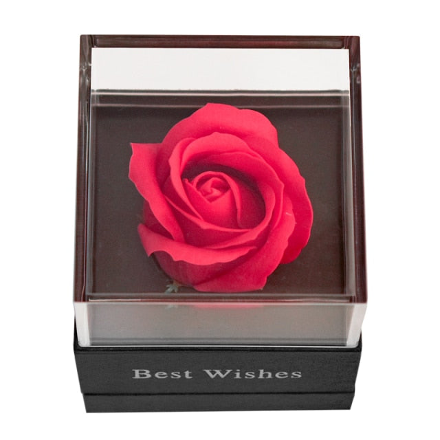 Beauty and The Beast Preserved Roses in Glass Forever Eternal Rose With LED