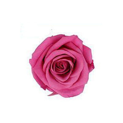 8 Pcs High Quality Flowers Immortal Rose Eternelle Gift Box