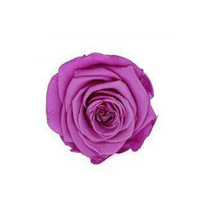 8 Pcs High Quality Flowers Immortal Rose Eternelle Gift Box