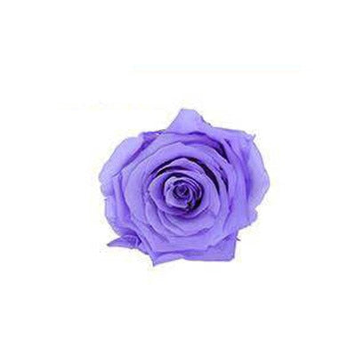 8 Pcs High Quality Flowers Immortal Rose Eternelle Gift Box