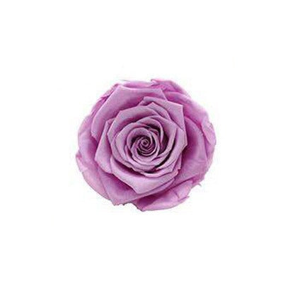 8 Pcs High Quality Flowers Immortal Rose Eternelle Gift Box