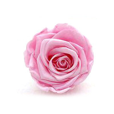 8 Pcs High Quality Flowers Immortal Rose Eternelle Gift Box