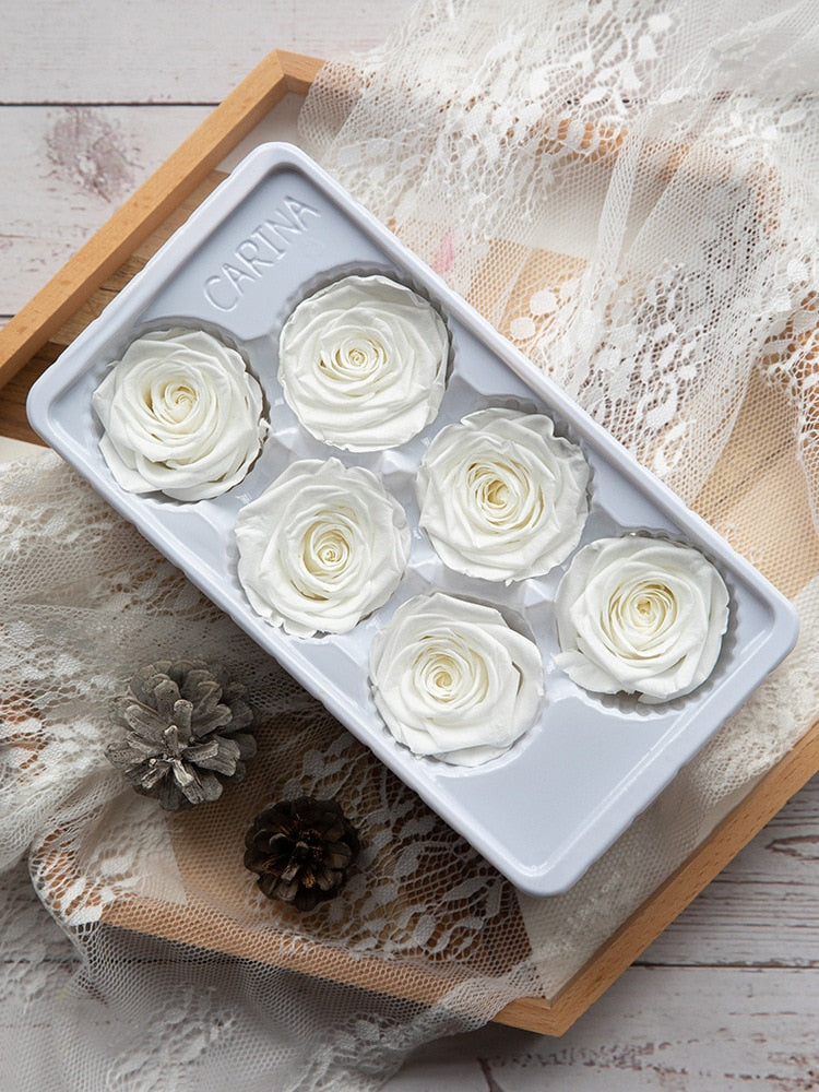 6Pcs/Box A Grade High Quality Preserved Rose Head  Gift Box