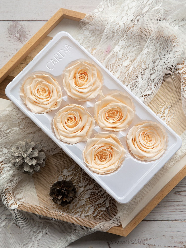 6Pcs/Box A Grade High Quality Preserved Rose Head  Gift Box