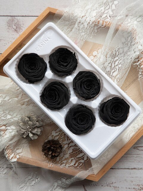 6Pcs/Box A Grade High Quality Preserved Rose Head  Gift Box