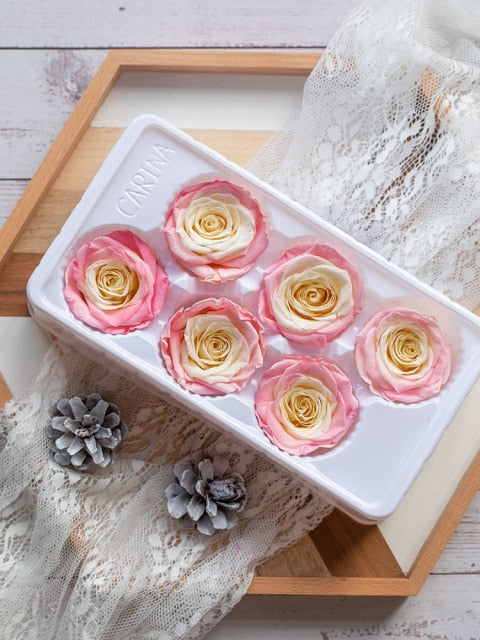 6Pcs/Box A Grade High Quality Preserved Rose Head  Gift Box