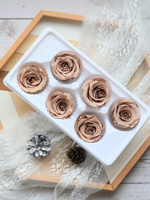 6Pcs/Box A Grade High Quality Preserved Rose Head  Gift Box