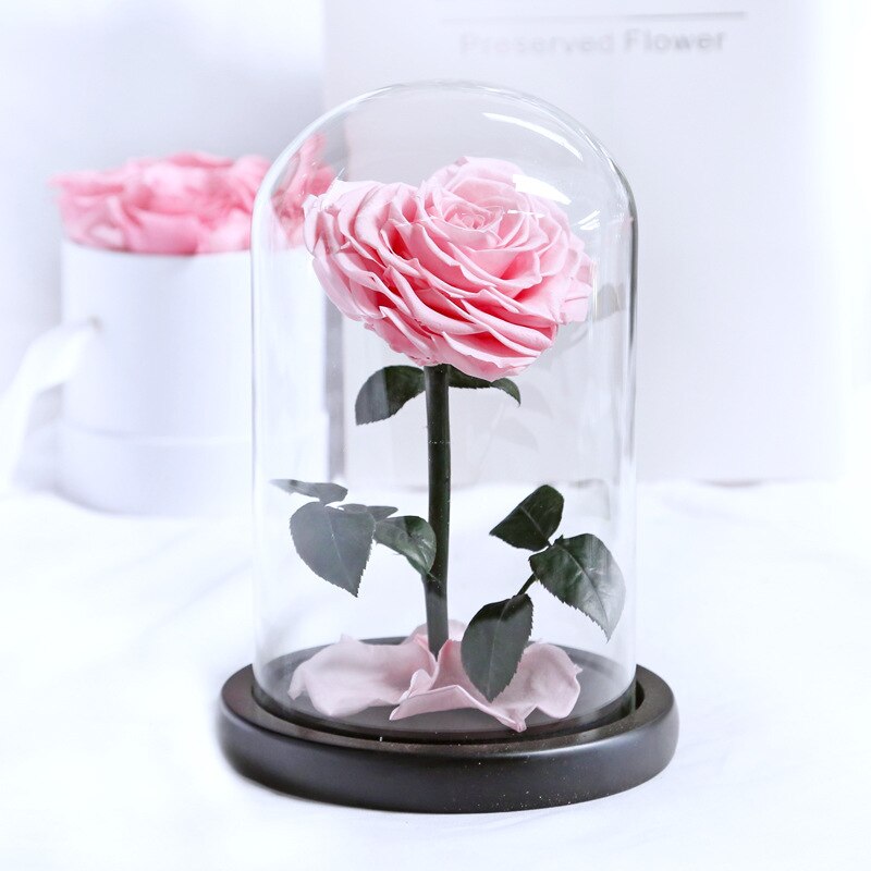 Beauty and The Beast Roses Heart Shape Real Preserved Flowers In Glass