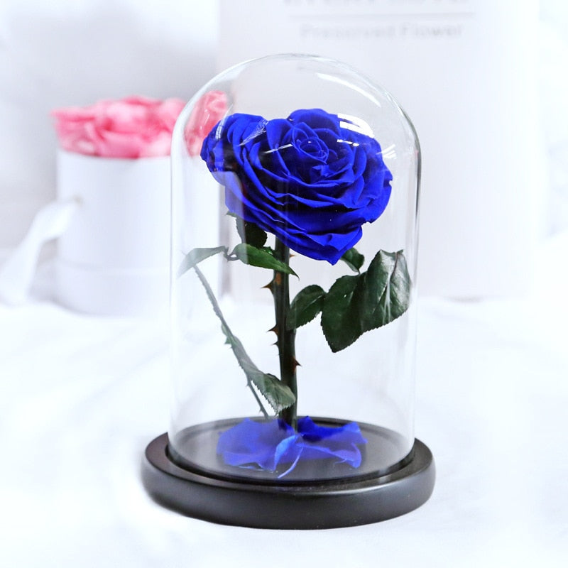 Beauty and The Beast Roses Heart Shape Real Preserved Flowers In Glass