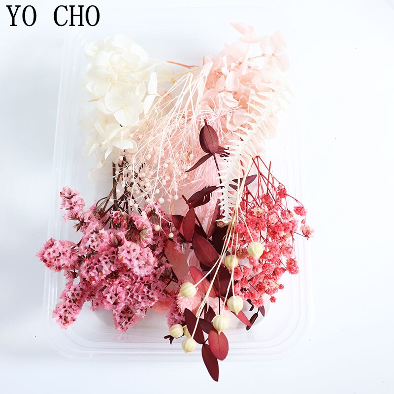 DIY Real Dried Flower Dry Plants Dry Leaf For Round fan