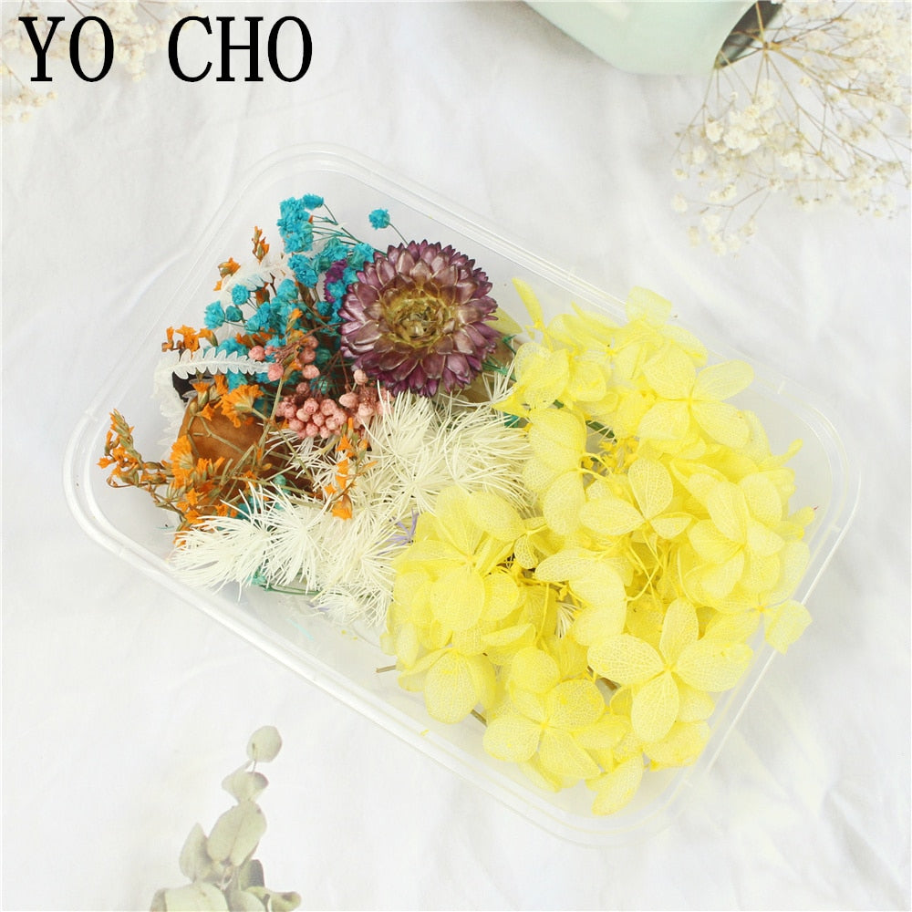 DIY Real Dried Flower Dry Plants Dry Leaf For Round fan