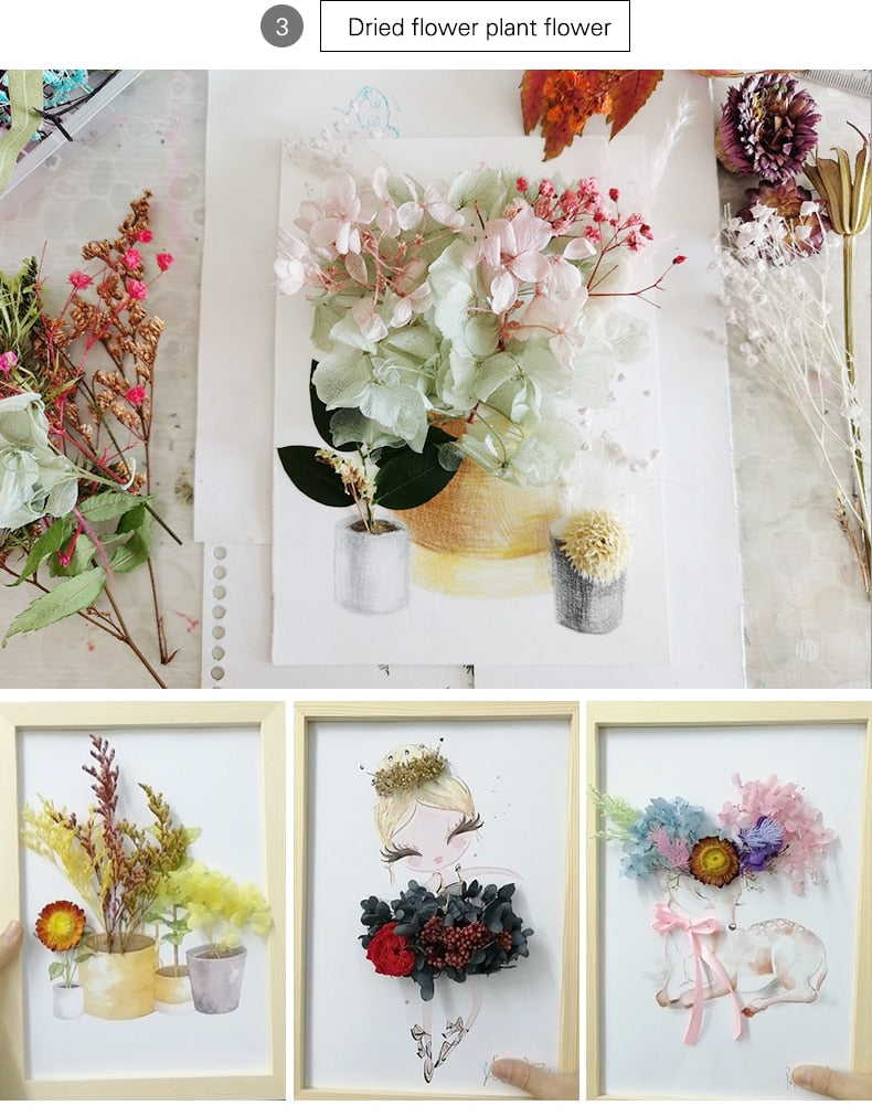 DIY Real Dried Flower Dry Plants Dry Leaf For Round fan