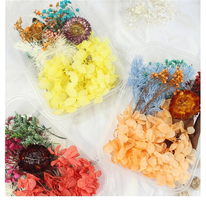 DIY Real Dried Flower Dry Plants Dry Leaf For Round fan