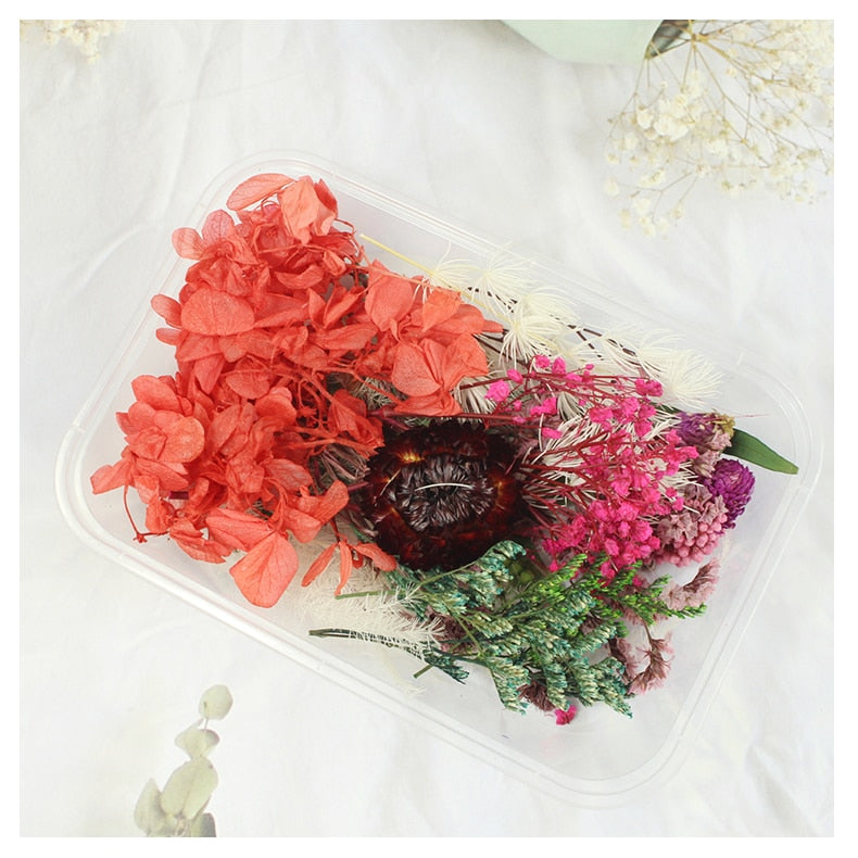 DIY Real Dried Flower Dry Plants Dry Leaf For Round fan